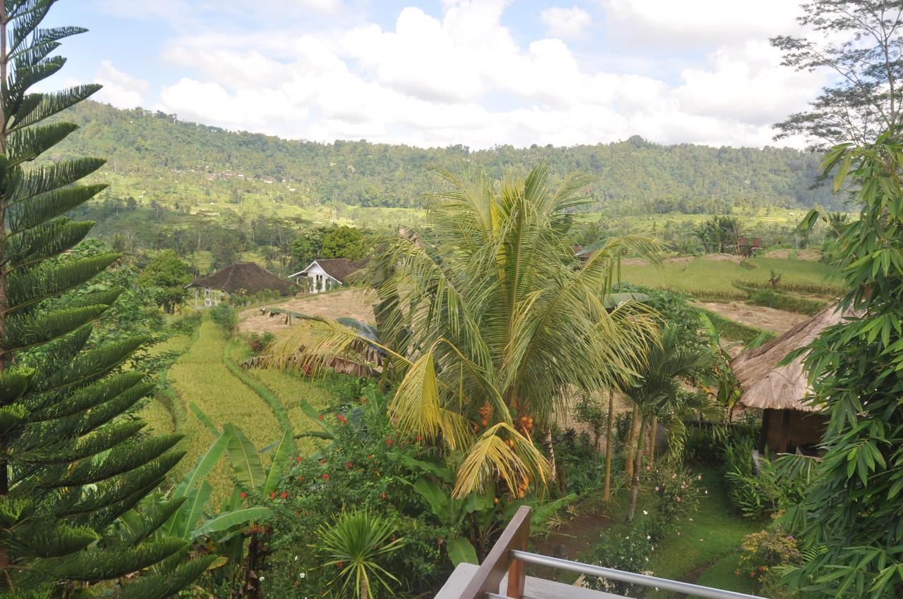 Villa Shantiasa Bali Sidemen  Eksteriør bilde